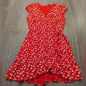 Size 6 JCrew Dress
